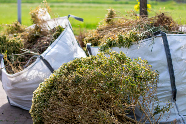 Best Moving and Downsizing Cleanouts  in Kent, WA