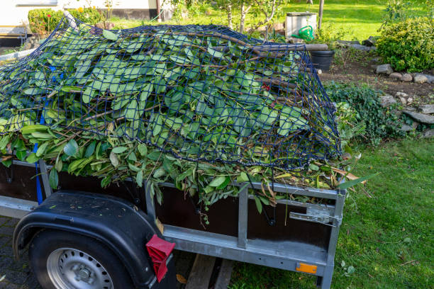 Shed Removal in Kent, WA